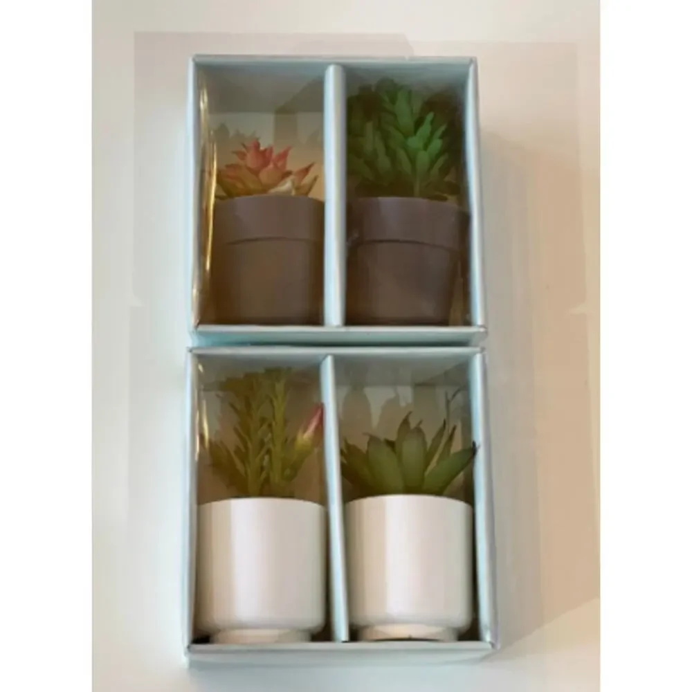 4 Piece Faux Mini Decorative Succulents in Pots 4